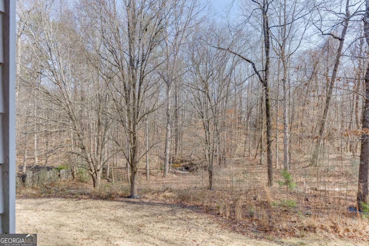 2455 Millwater Crossing Dacula - Photo 61