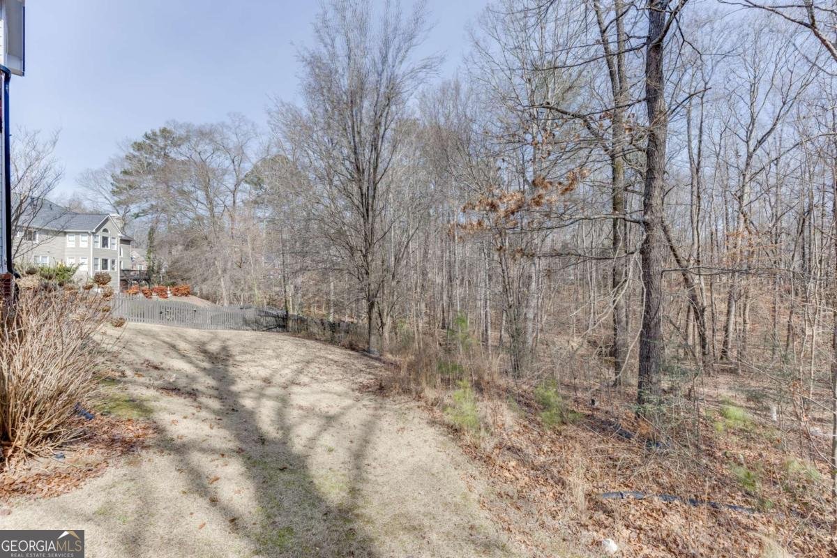 2455 Millwater Crossing Dacula - Photo 64