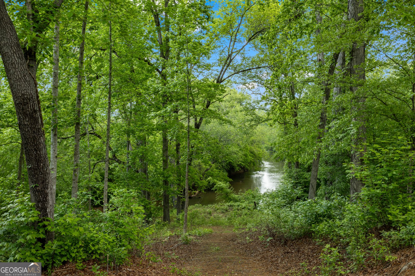 7955 Welch Mill Ball Ground - Photo 62