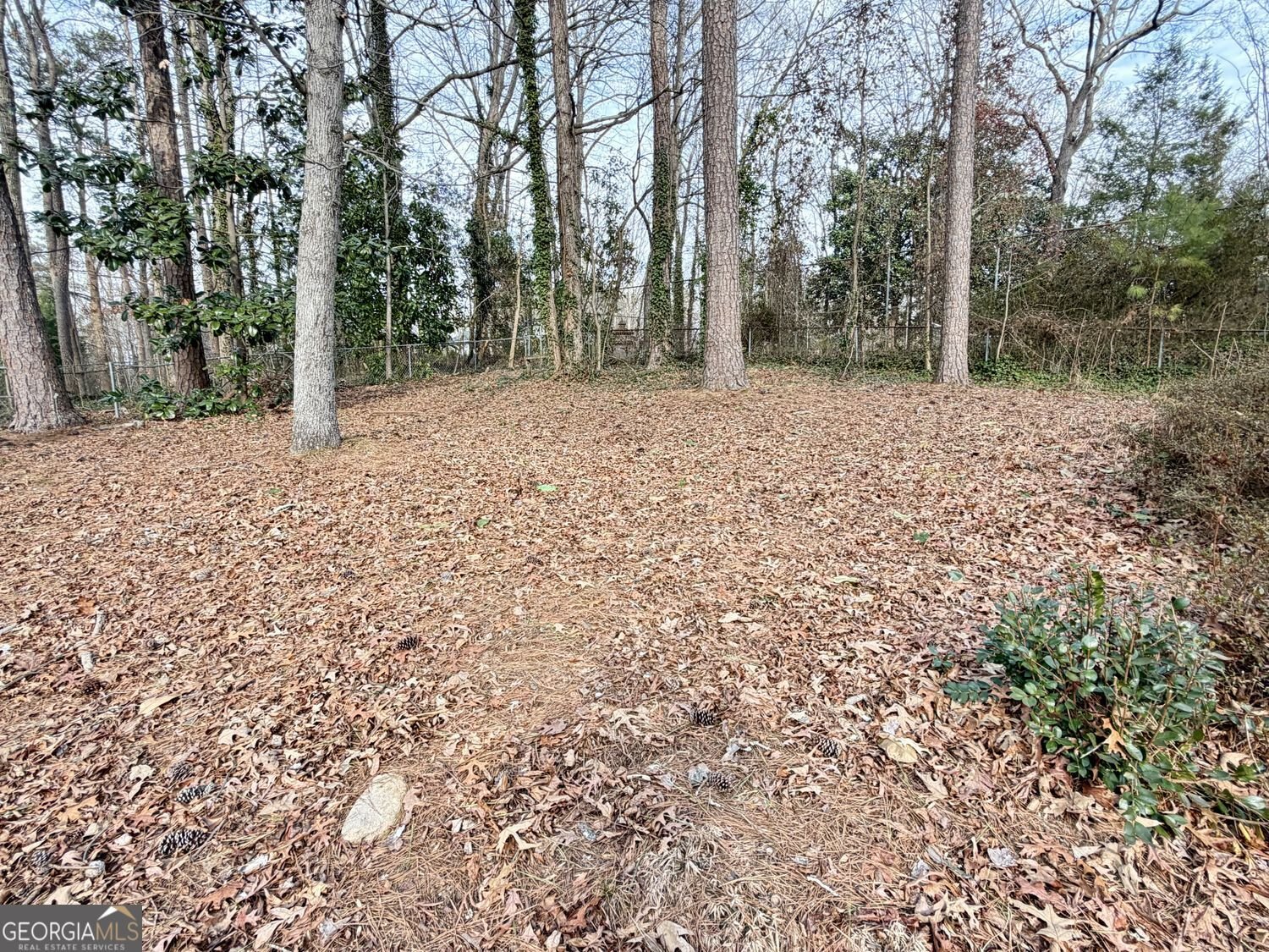 4707 Windsor Drive Smyrna - Photo 54