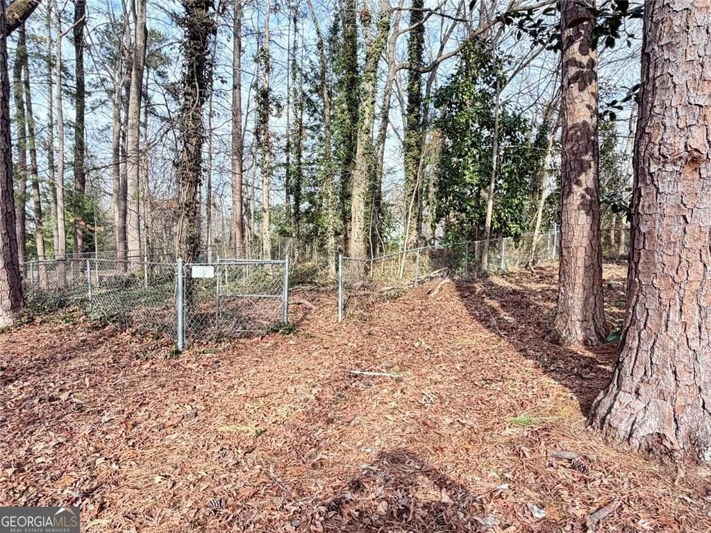 4707 Windsor Drive Smyrna - Photo 58