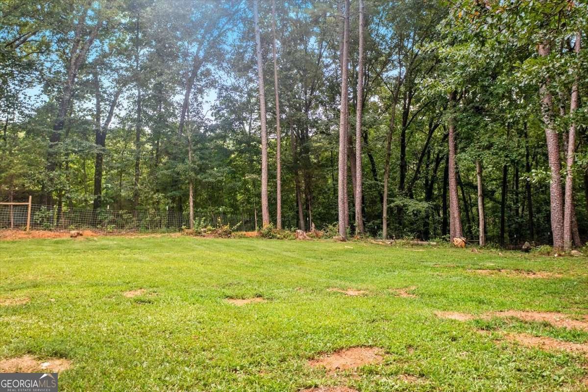 16 Hardin Drive Silver Creek - Photo 28