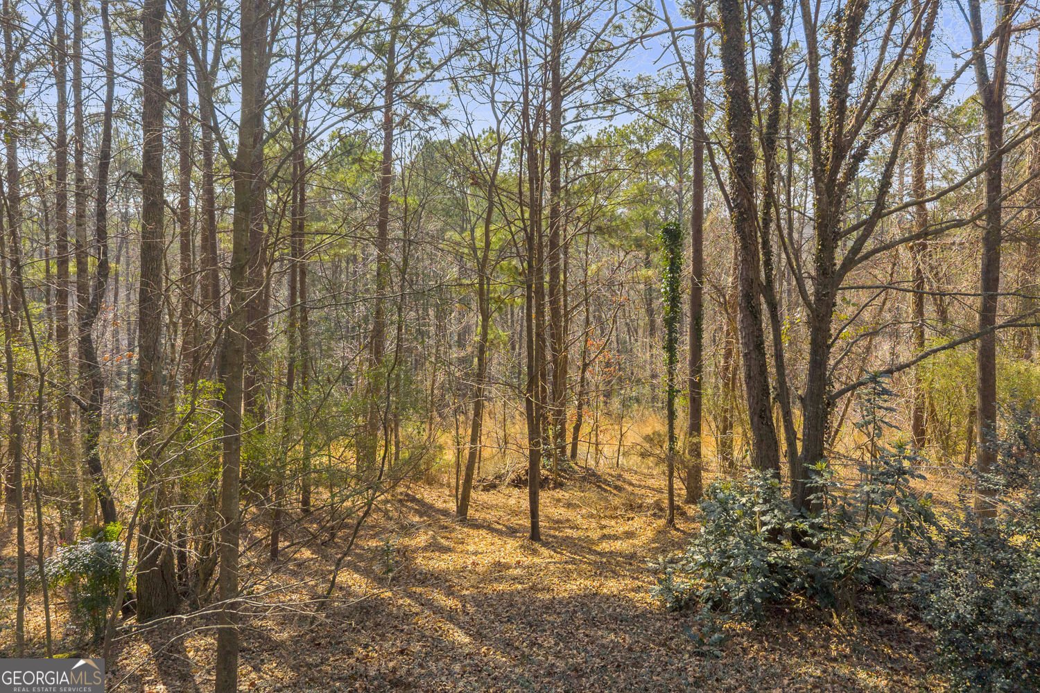 2878 Forest Court Loganville - Photo 93