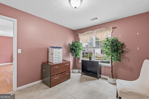 4778 Chafin Point Court Snellville - Photo 21