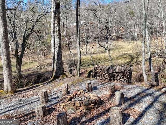 2912 Gribble Edwards Road Hayesville - Photo 26