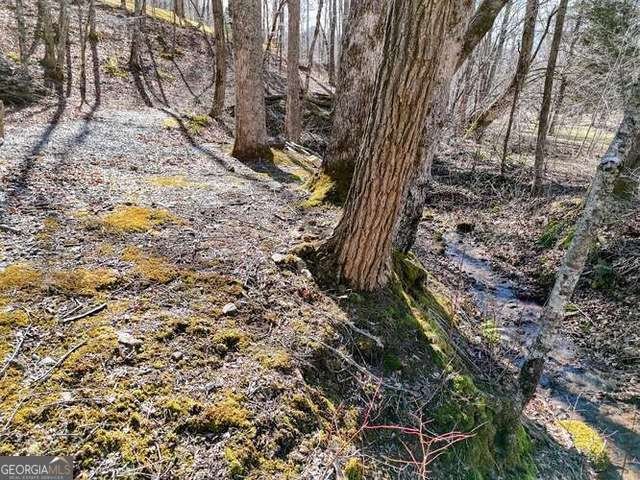 2912 Gribble Edwards Road Hayesville - Photo 27