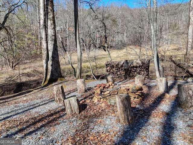 2912 Gribble Edwards Road Hayesville - Photo 28