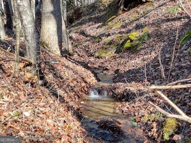 2912 Gribble Edwards Road Hayesville - Photo 30