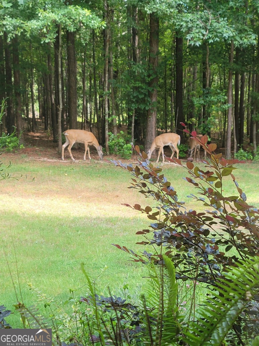 2100 Morgan Lane Covington - Photo 52