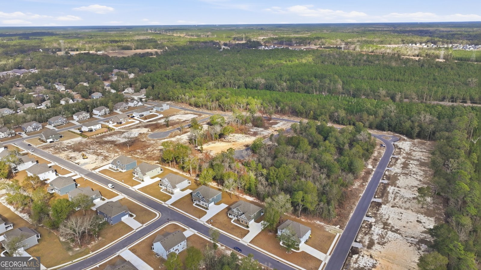 117 Concord Drive Guyton - Photo 52