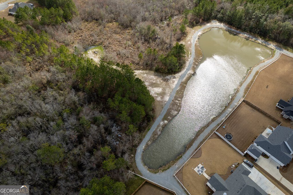 7280 Mill Ridge Drive Hahira - Photo 57