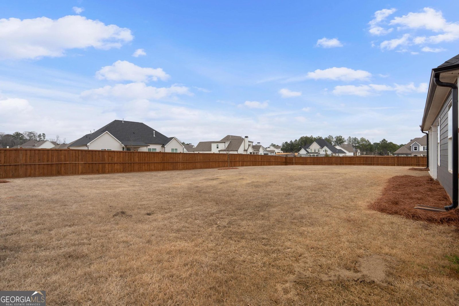 115 Putney Way Senoia - Photo 55