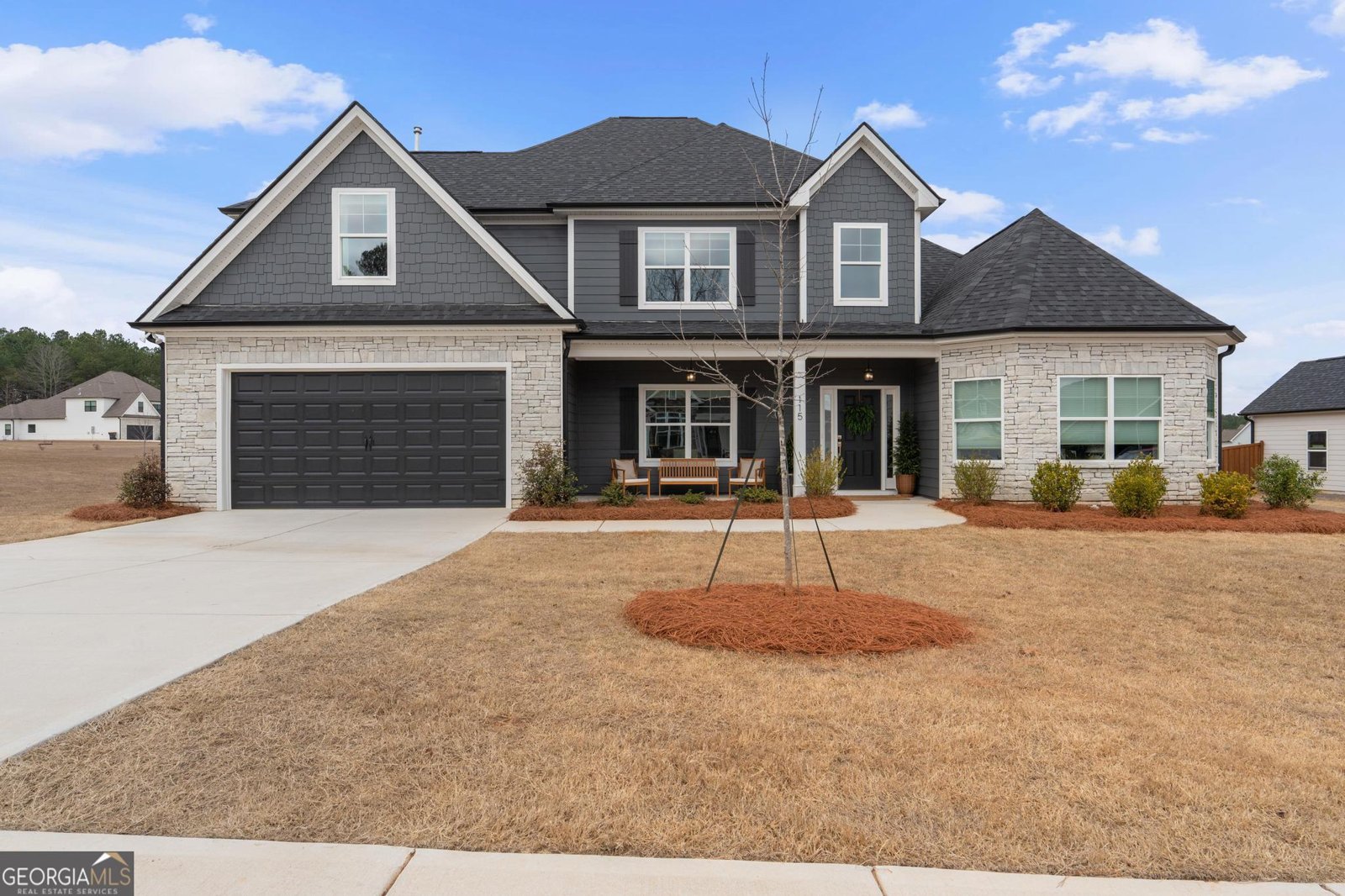 115 Putney Way Senoia - Photo 57