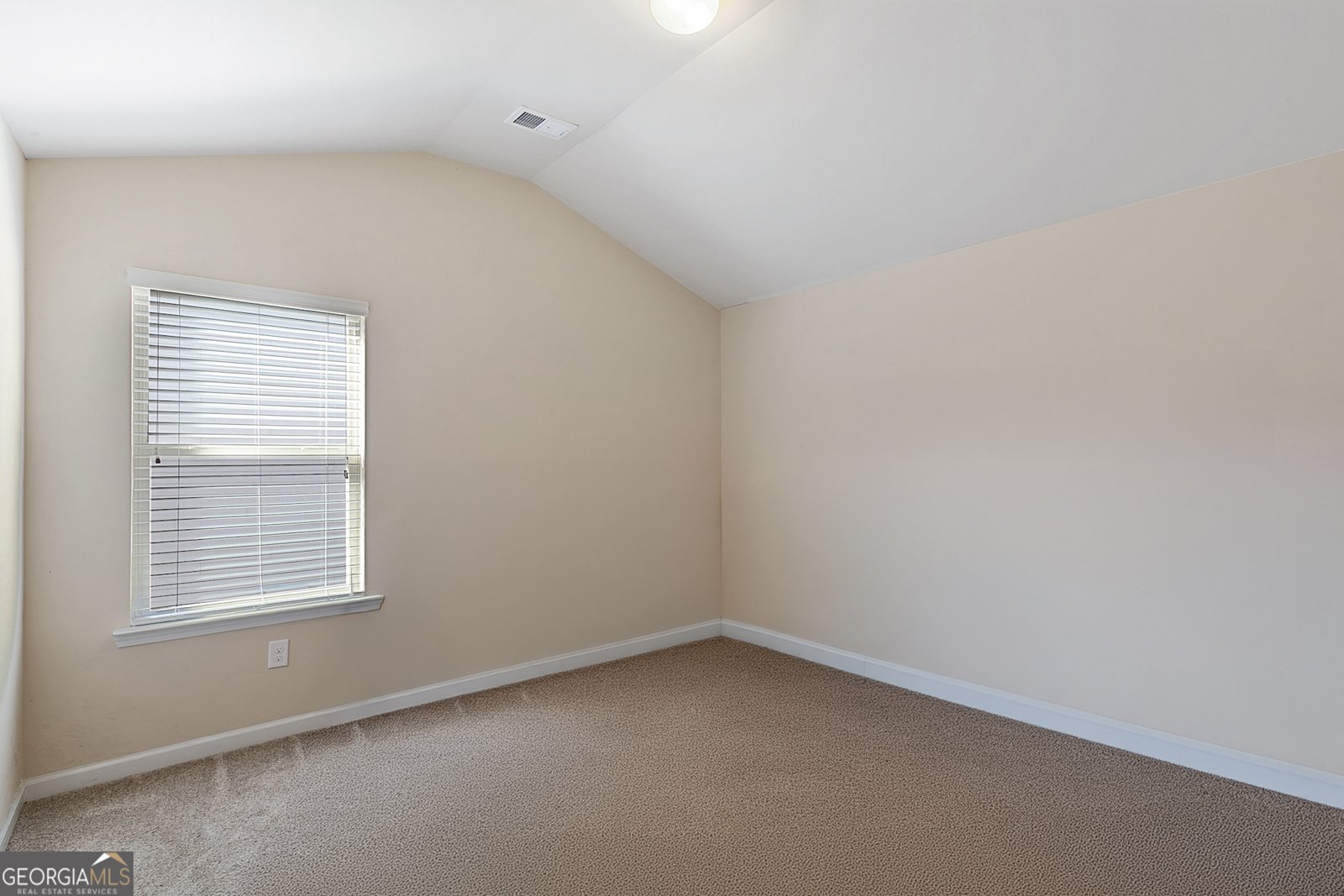 4103 Potomac Walk Court Loganville - Photo 39