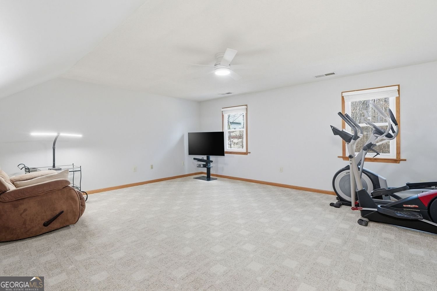 153 Spring Creek Court Canton - Photo 26