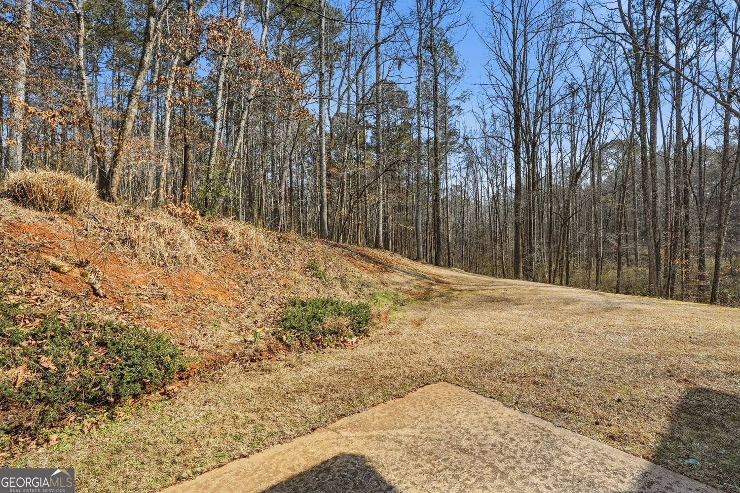 153 Spring Creek Court Canton - Photo 30