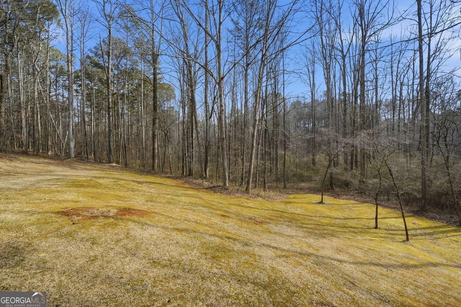 153 Spring Creek Court Canton - Photo 34