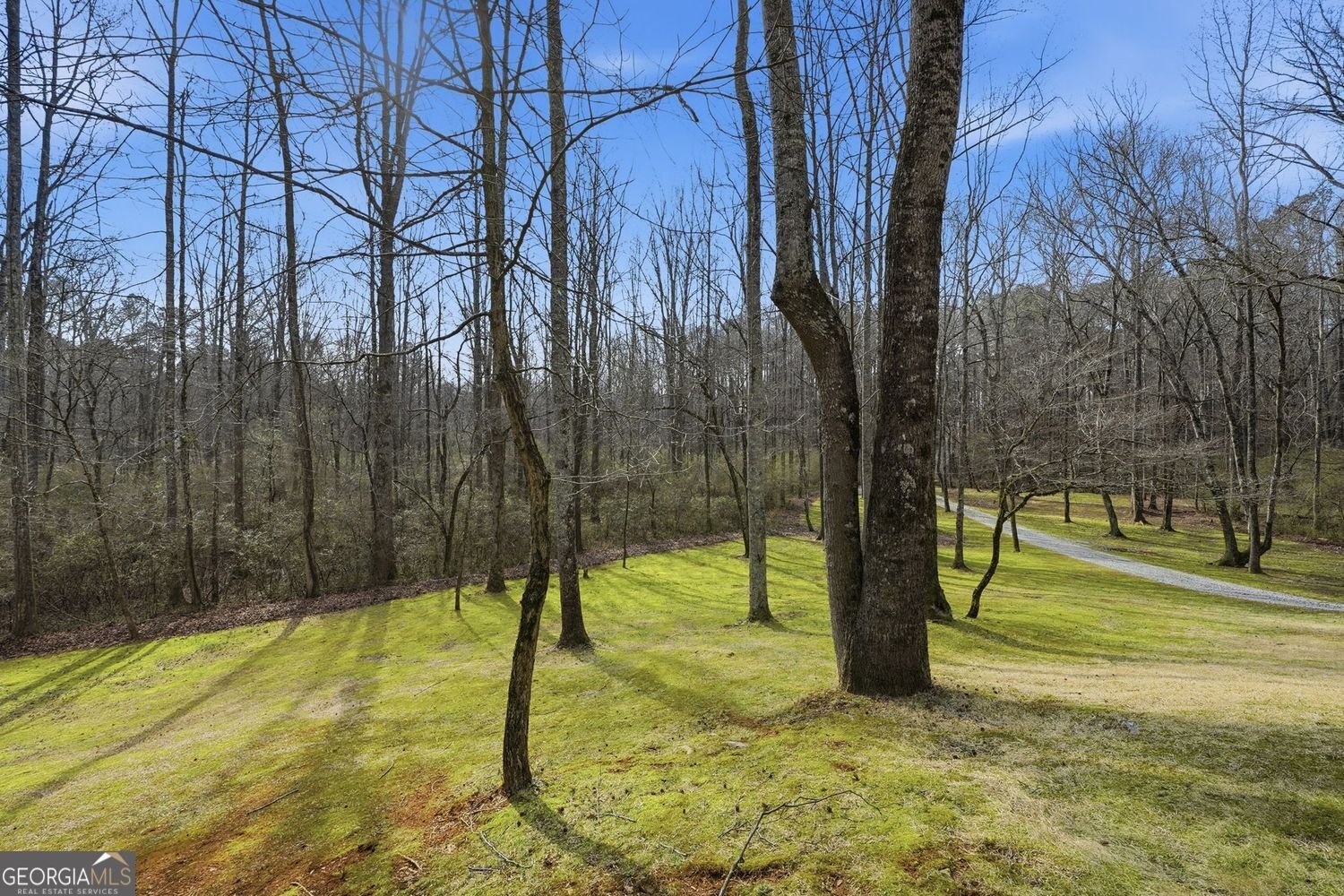 153 Spring Creek Court Canton - Photo 35