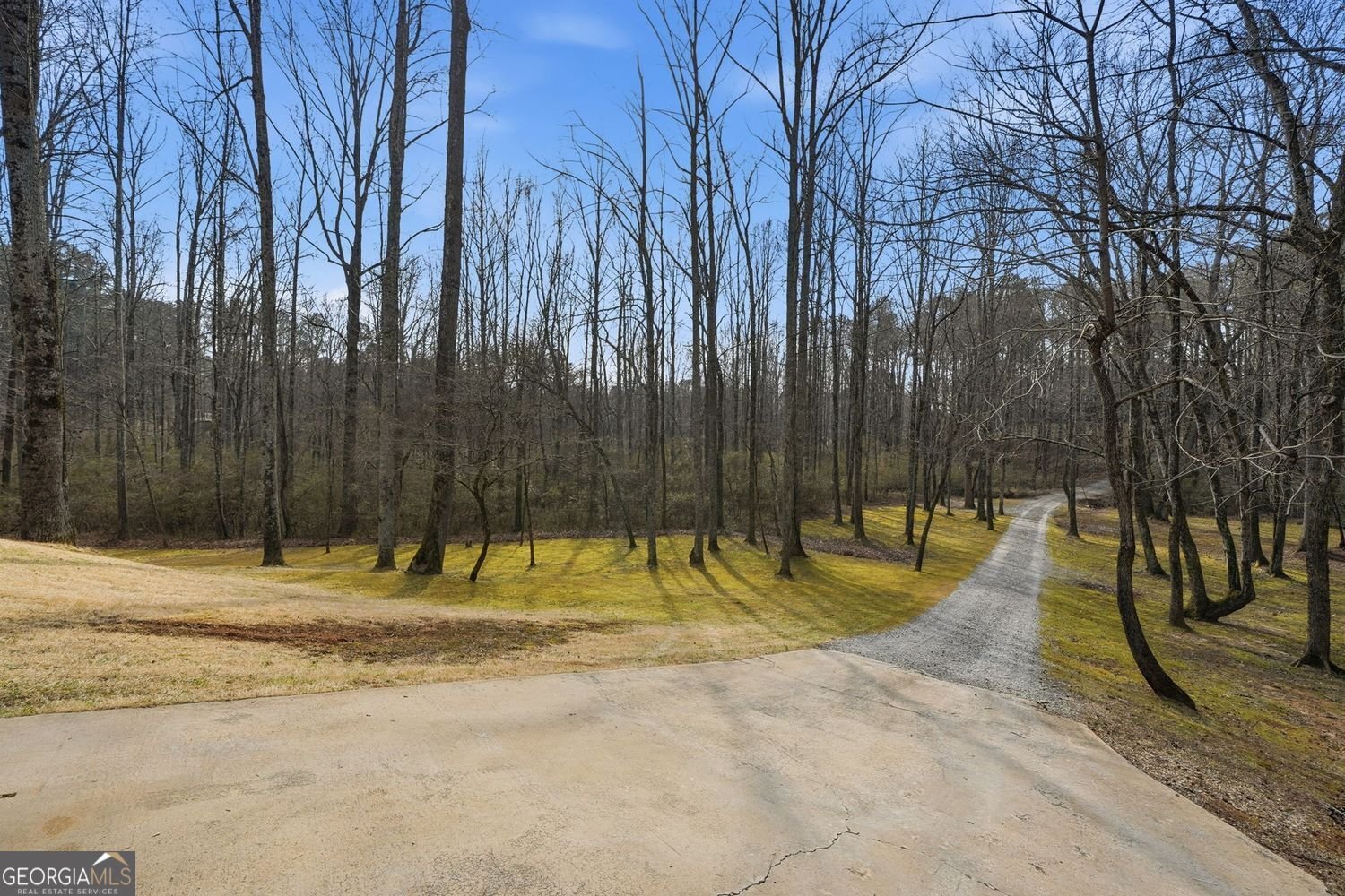 153 Spring Creek Court Canton - Photo 36