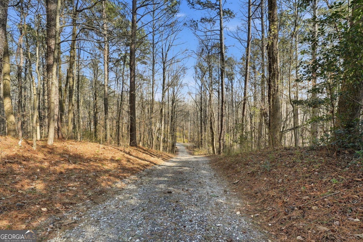 153 Spring Creek Court Canton - Photo 38