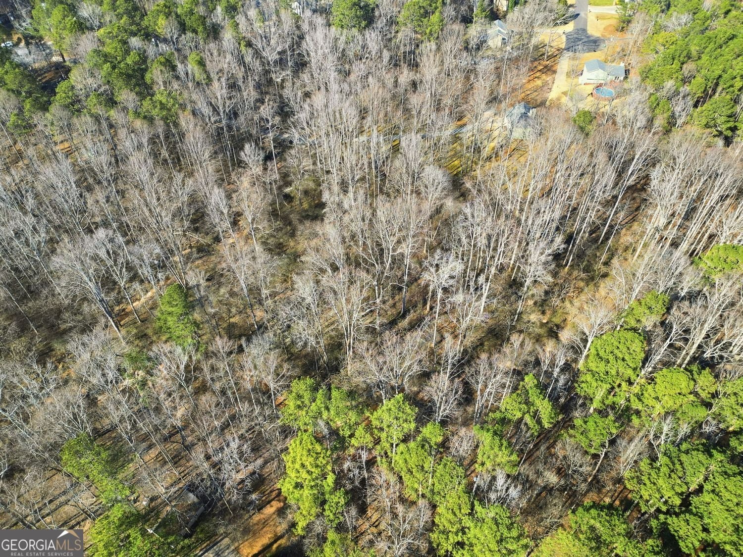 153 Spring Creek Court Canton - Photo 42