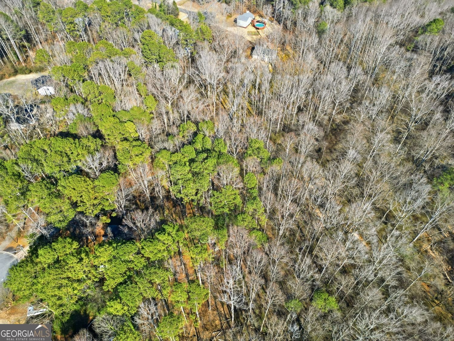 153 Spring Creek Court Canton - Photo 45