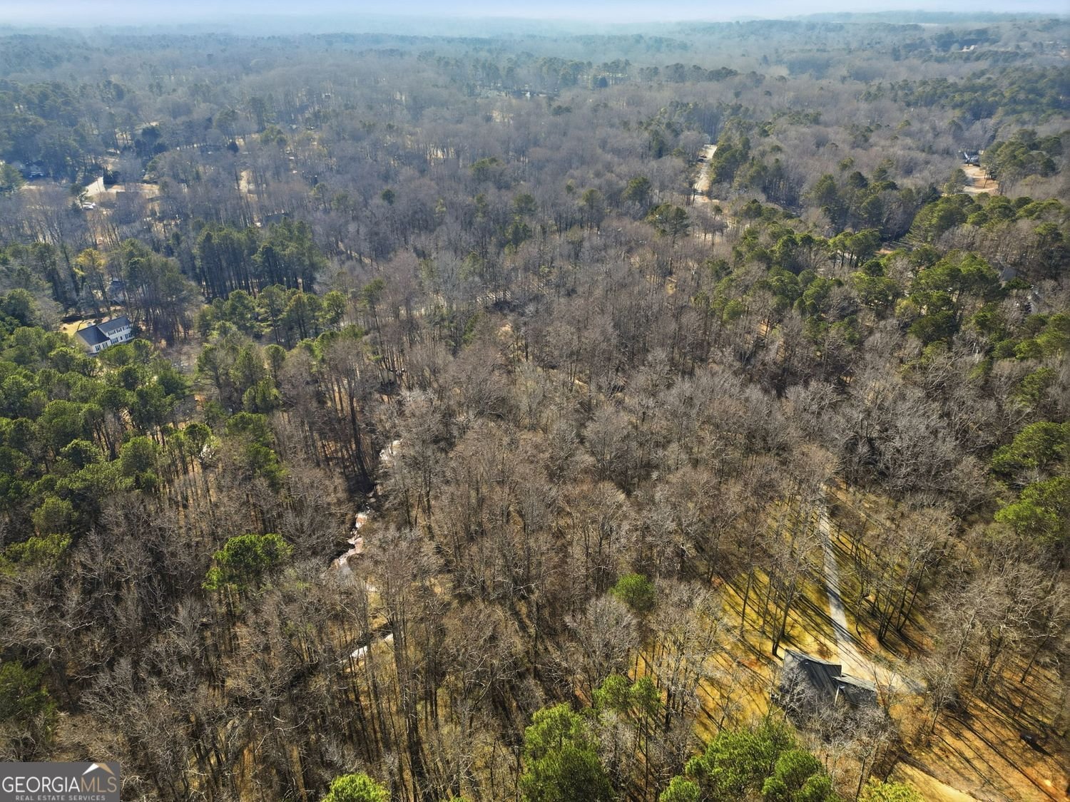 153 Spring Creek Court Canton - Photo 46