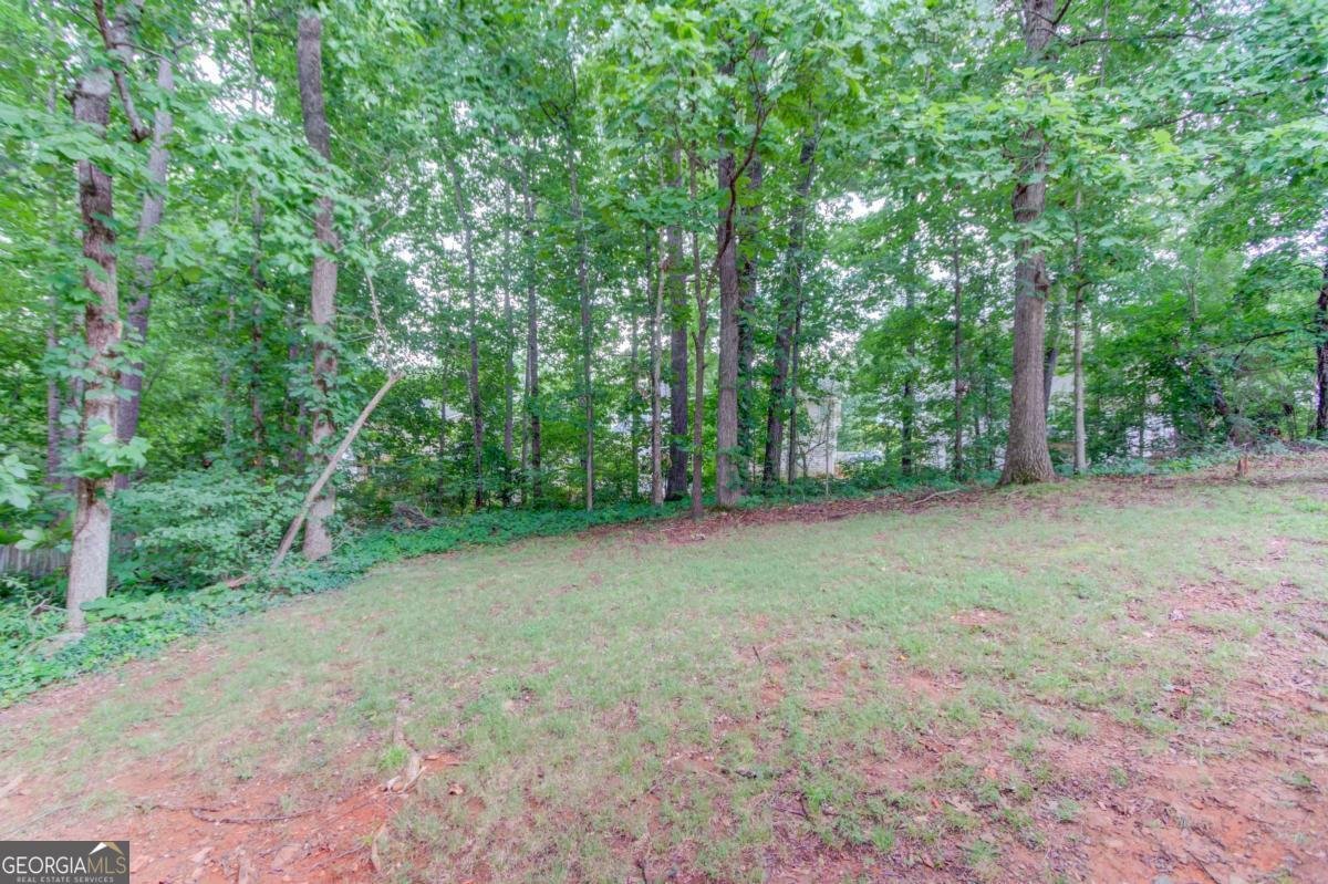 1446 Chadwick Ridge Court Lawrenceville - Photo 47