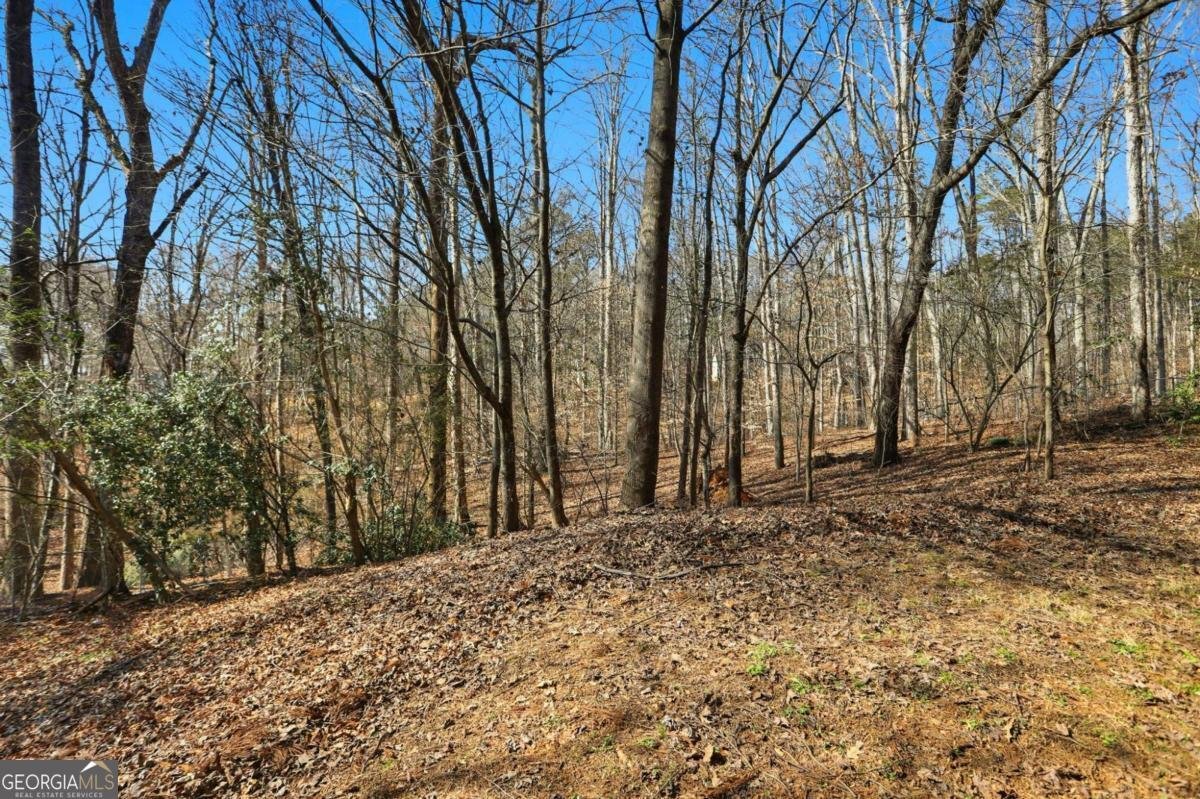 4927 Wade Valley Way Cumming - Photo 43