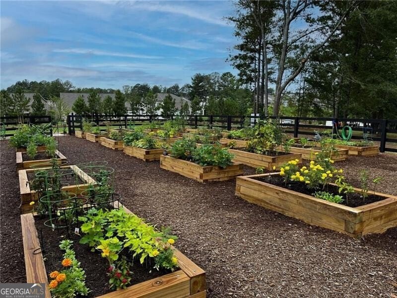 97 Caddo Court Hoschton - Photo 51