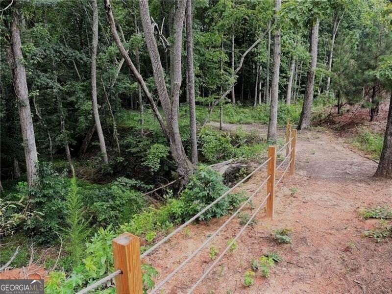 97 Caddo Court Hoschton - Photo 55