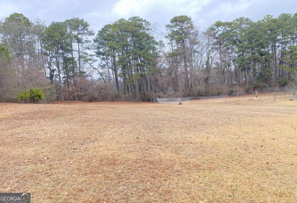 330 Community Drive Mableton - Photo 39