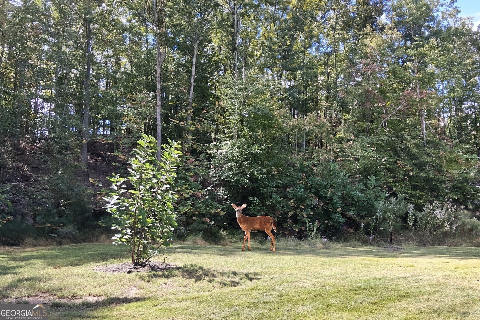 197 Evecliff Drive Dallas - Photo 45