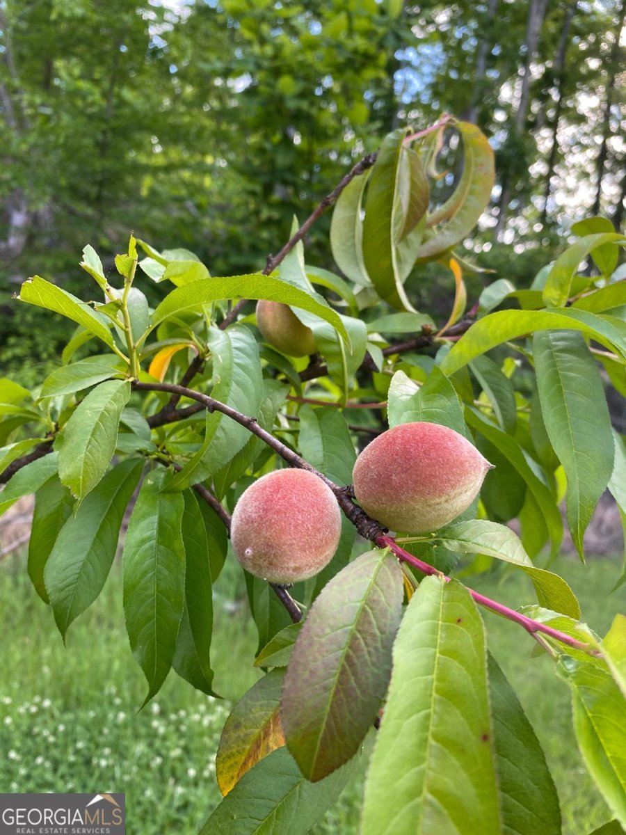 197 Evecliff Drive Dallas - Photo 48