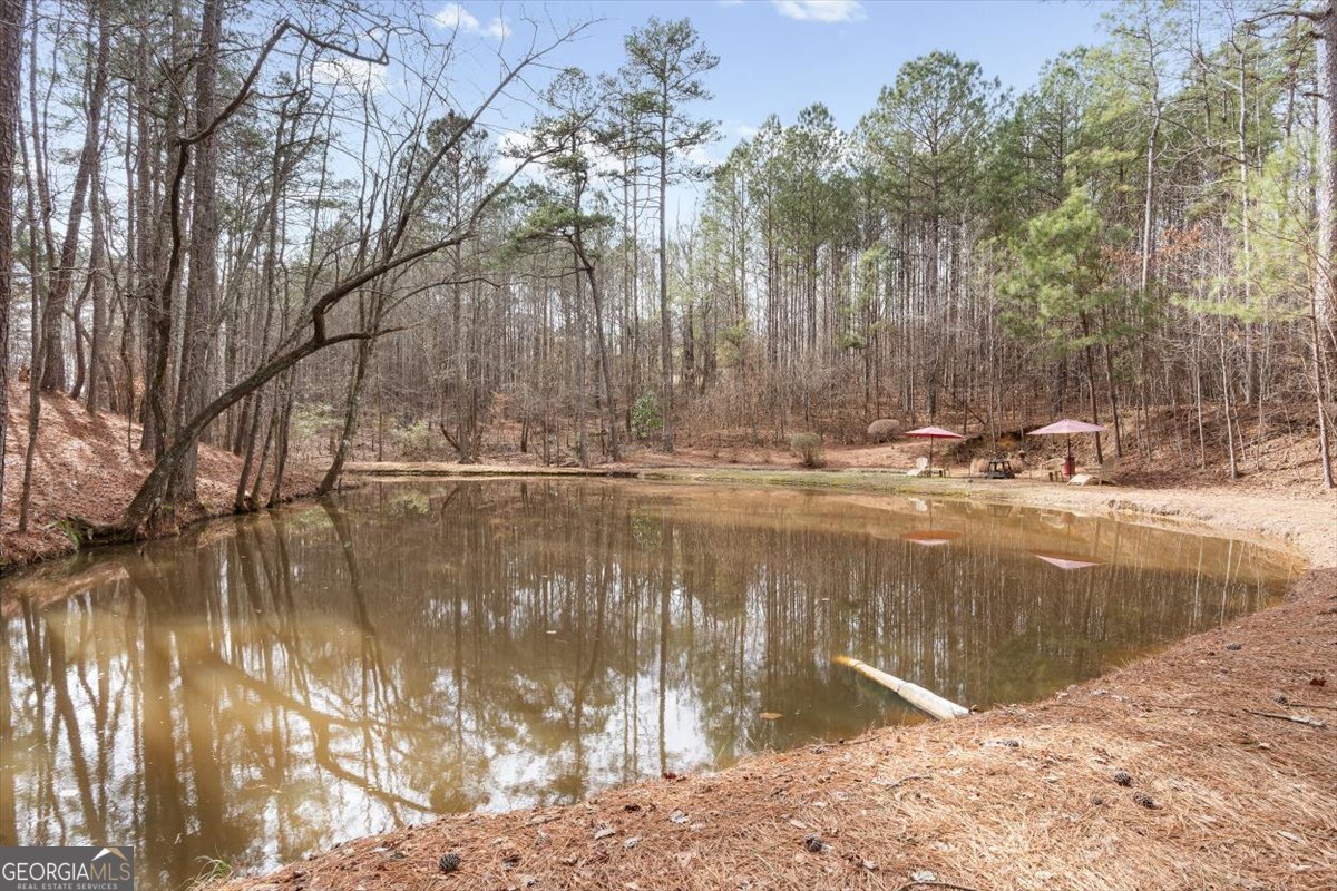 455 M Sanders Road Buchanan - Photo 53