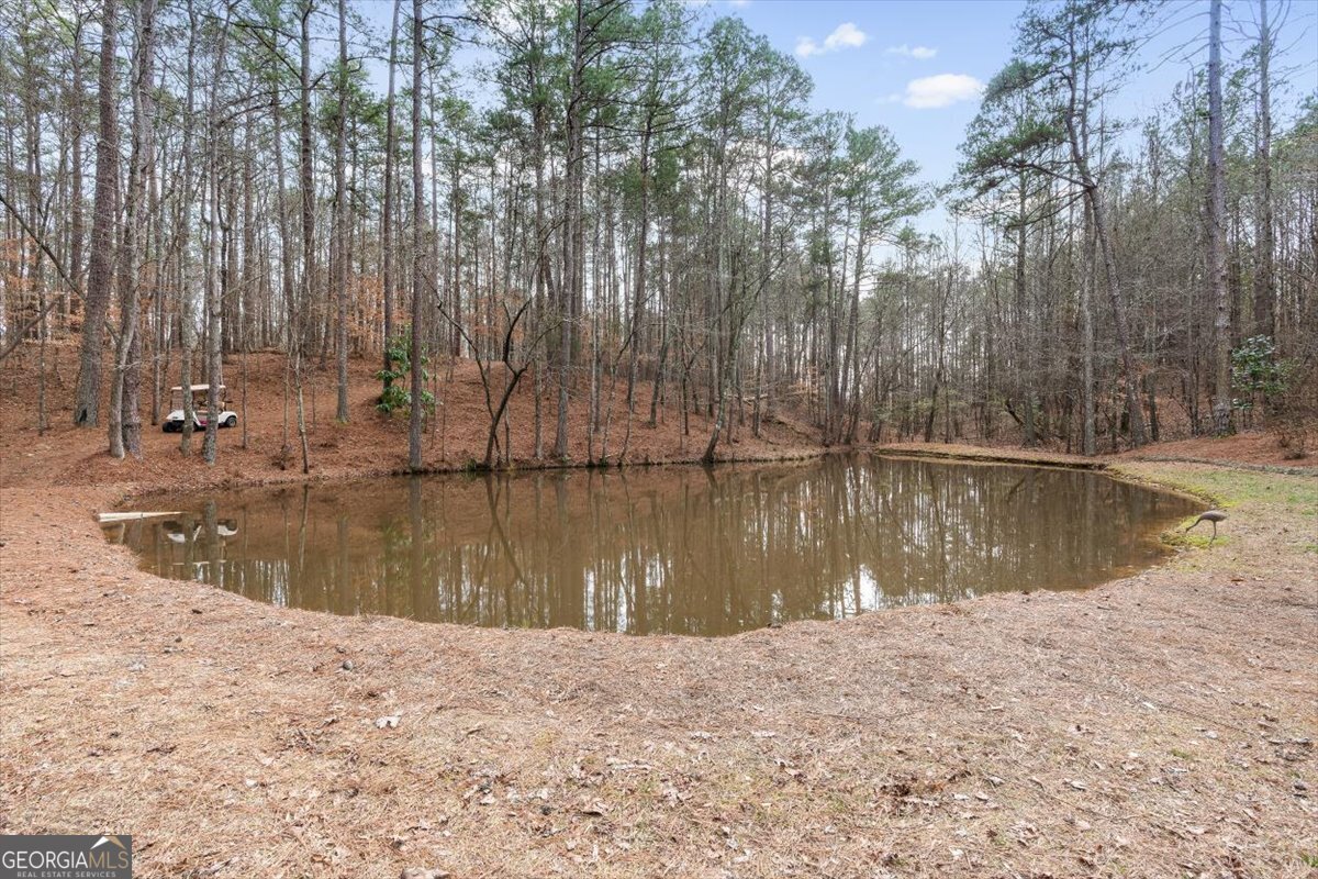 455 M Sanders Road Buchanan - Photo 56