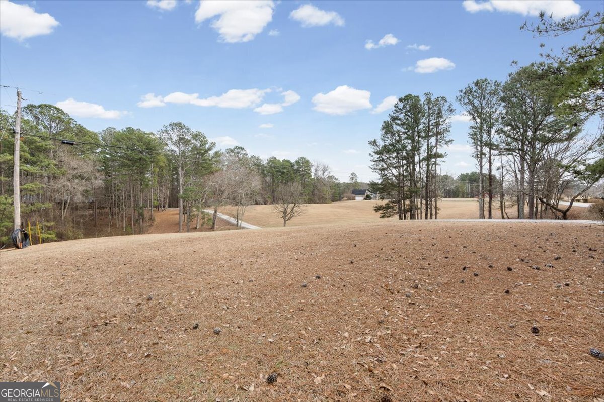 455 M Sanders Road Buchanan - Photo 61