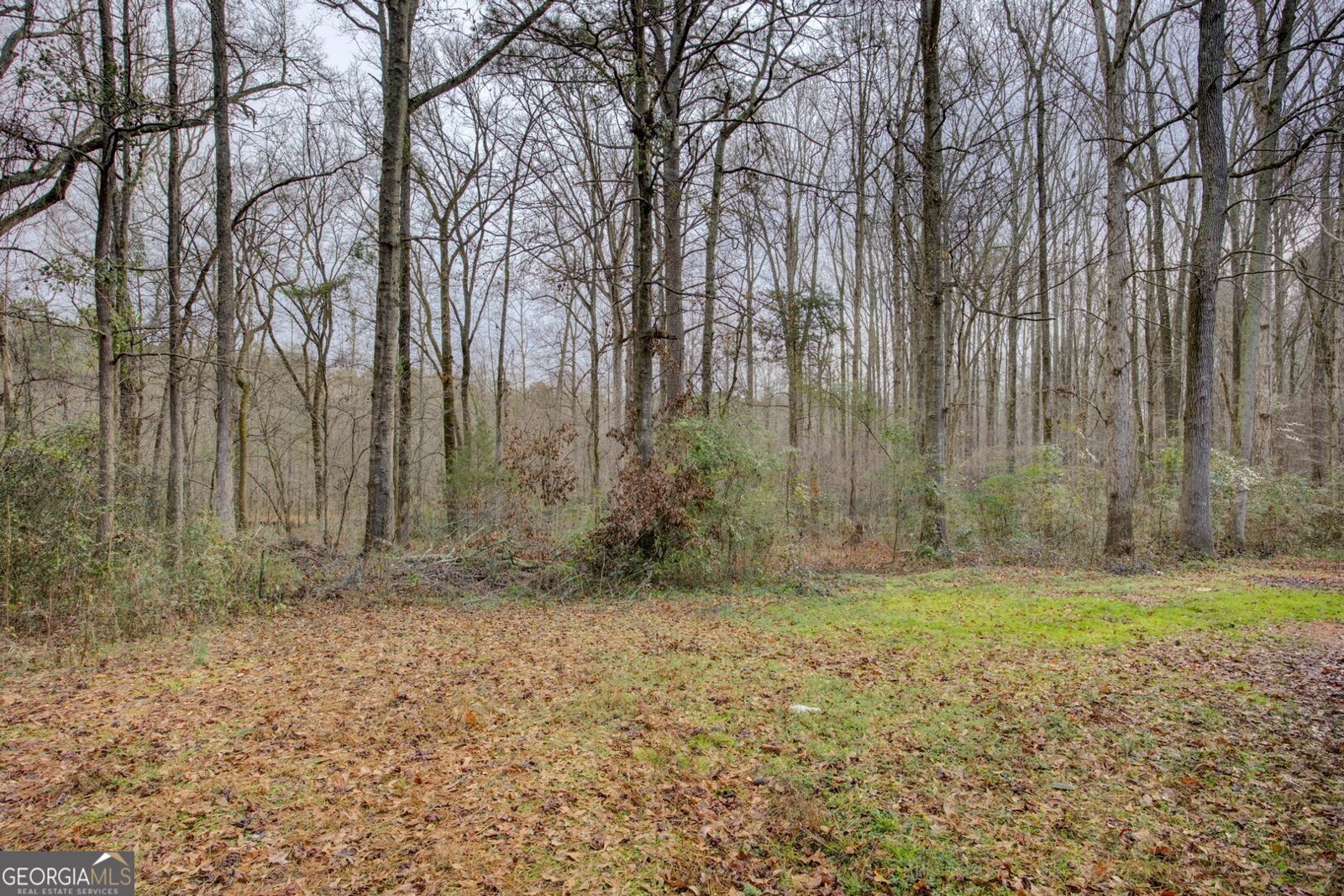 430 Fox Meadow Drive Covington - Photo 36