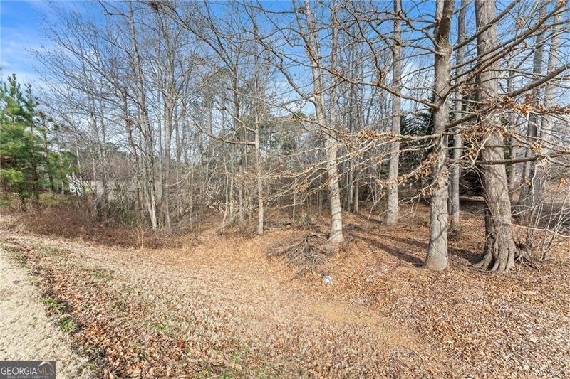 23 New Christopher Court Dawsonville - Photo 38