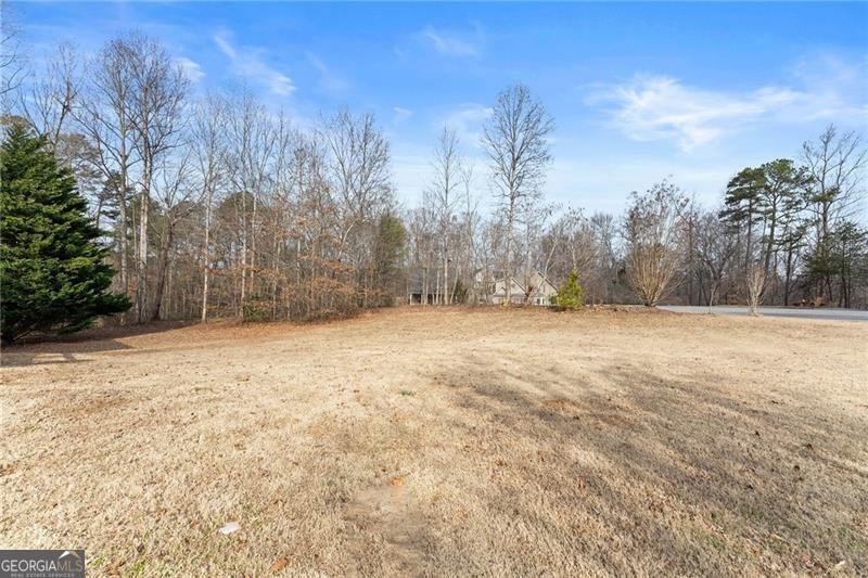 23 New Christopher Court Dawsonville - Photo 41