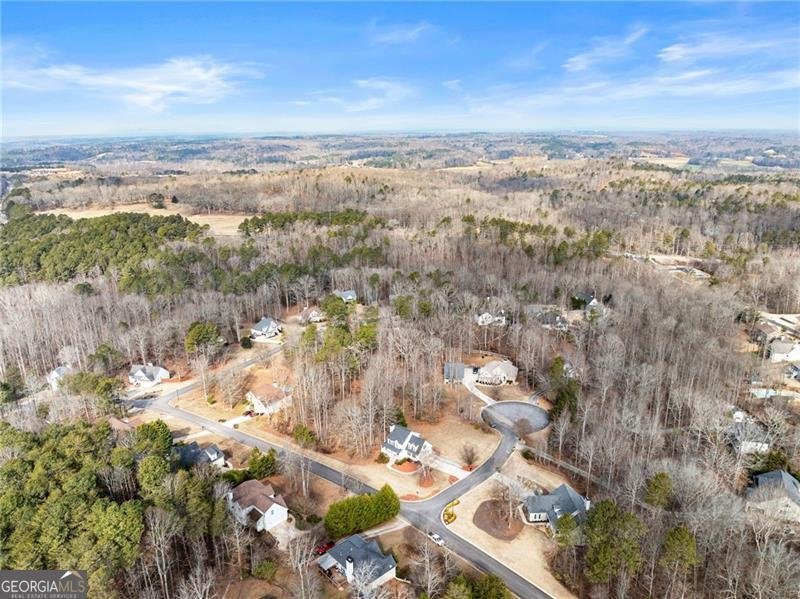 23 New Christopher Court Dawsonville - Photo 49