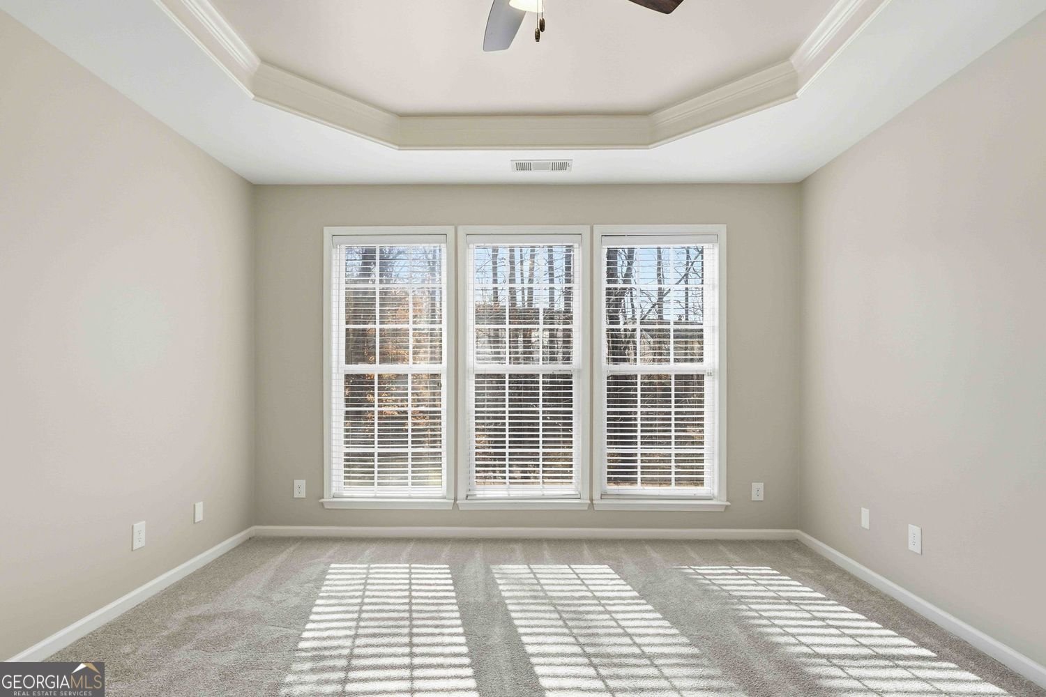 907 Santa Anita Drive Woodstock - Photo 23