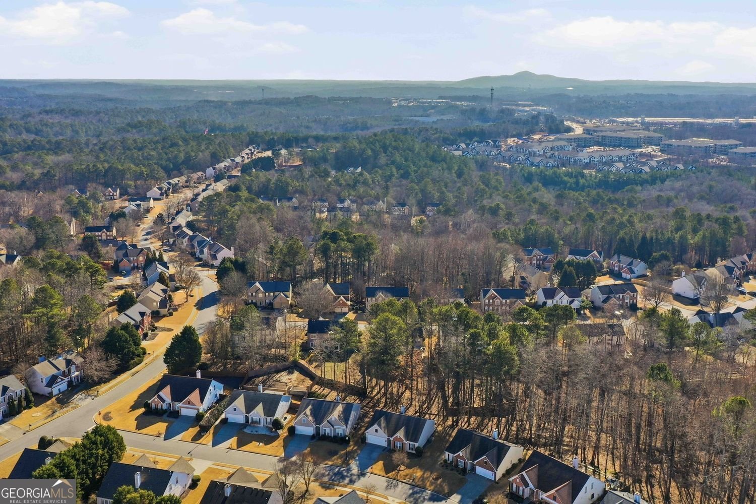 907 Santa Anita Drive Woodstock - Photo 43