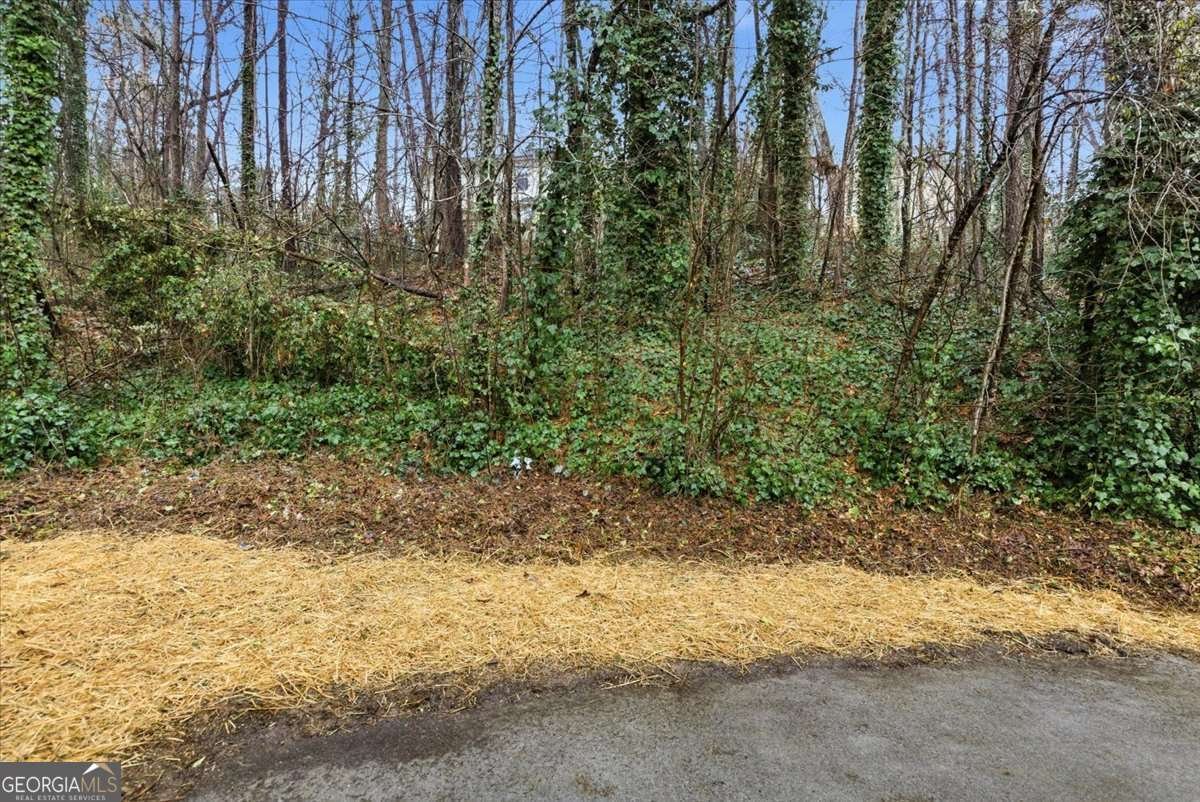 755 Allens Landing Drive Lawrenceville - Photo 25