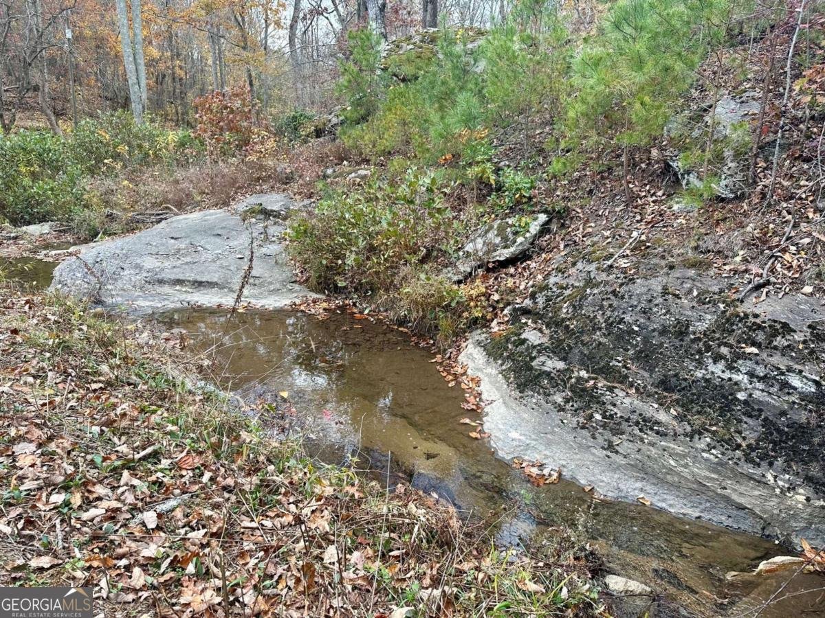 7567 Henderson Mountain Road Jasper - Photo 14