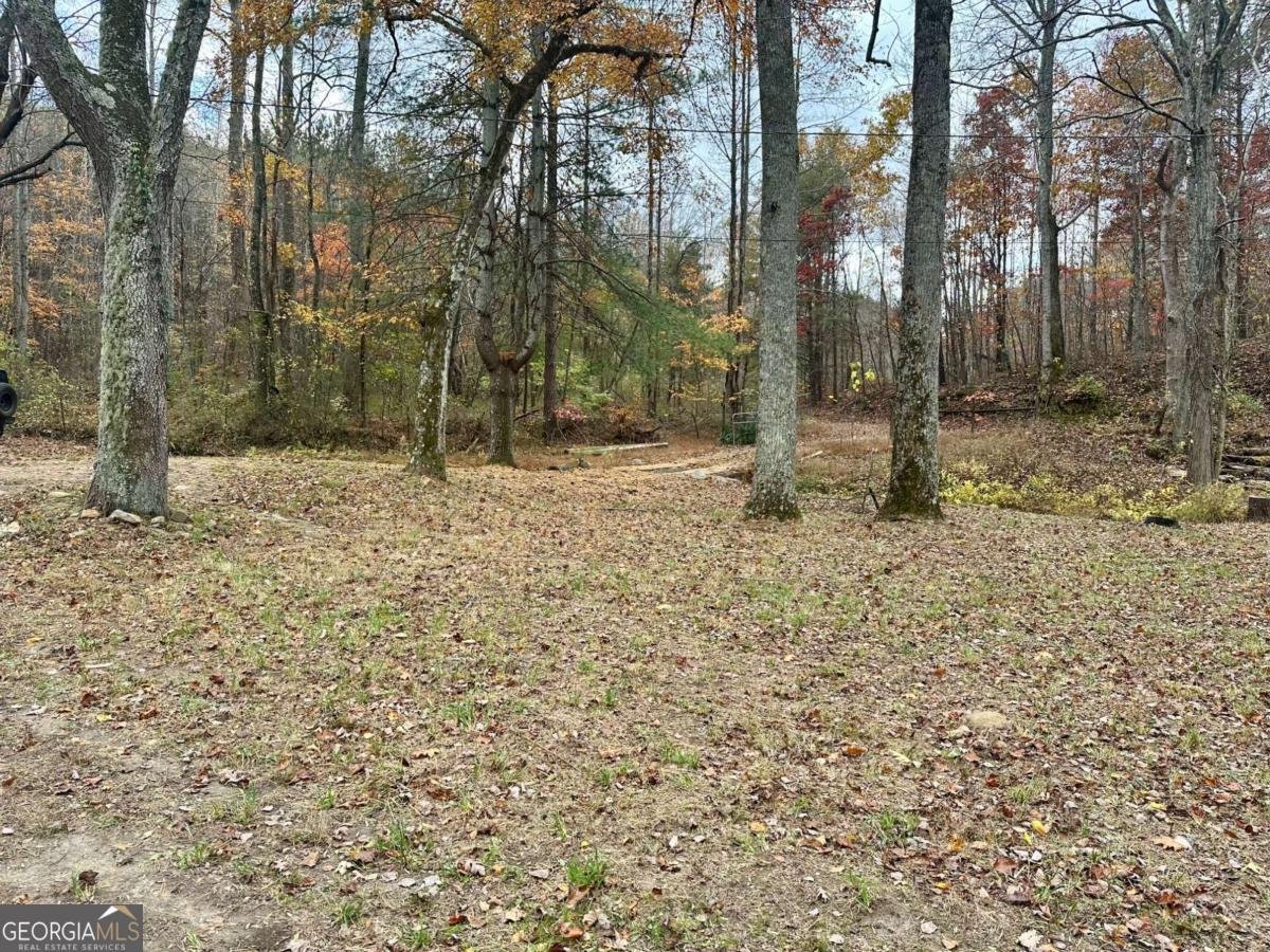 7567 Henderson Mountain Road Jasper - Photo 17