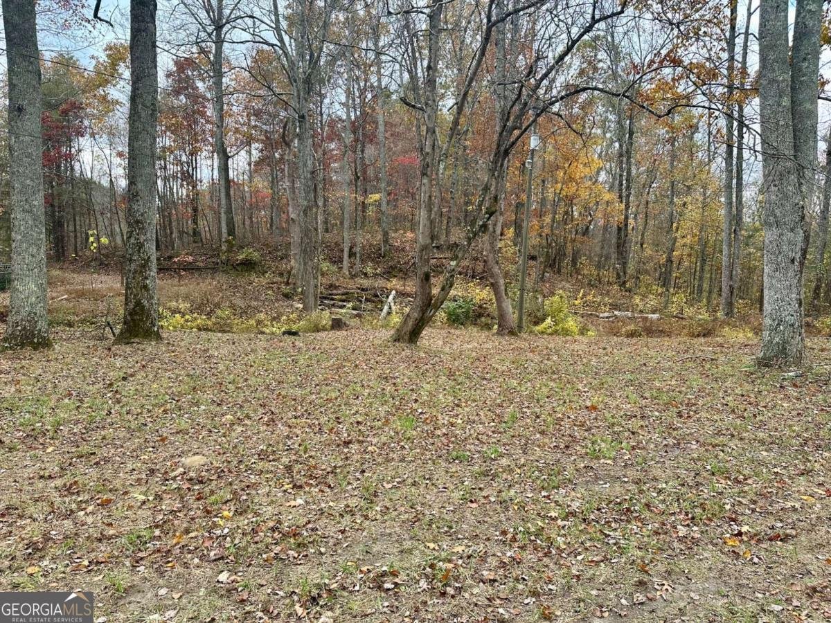 7567 Henderson Mountain Road Jasper - Photo 18