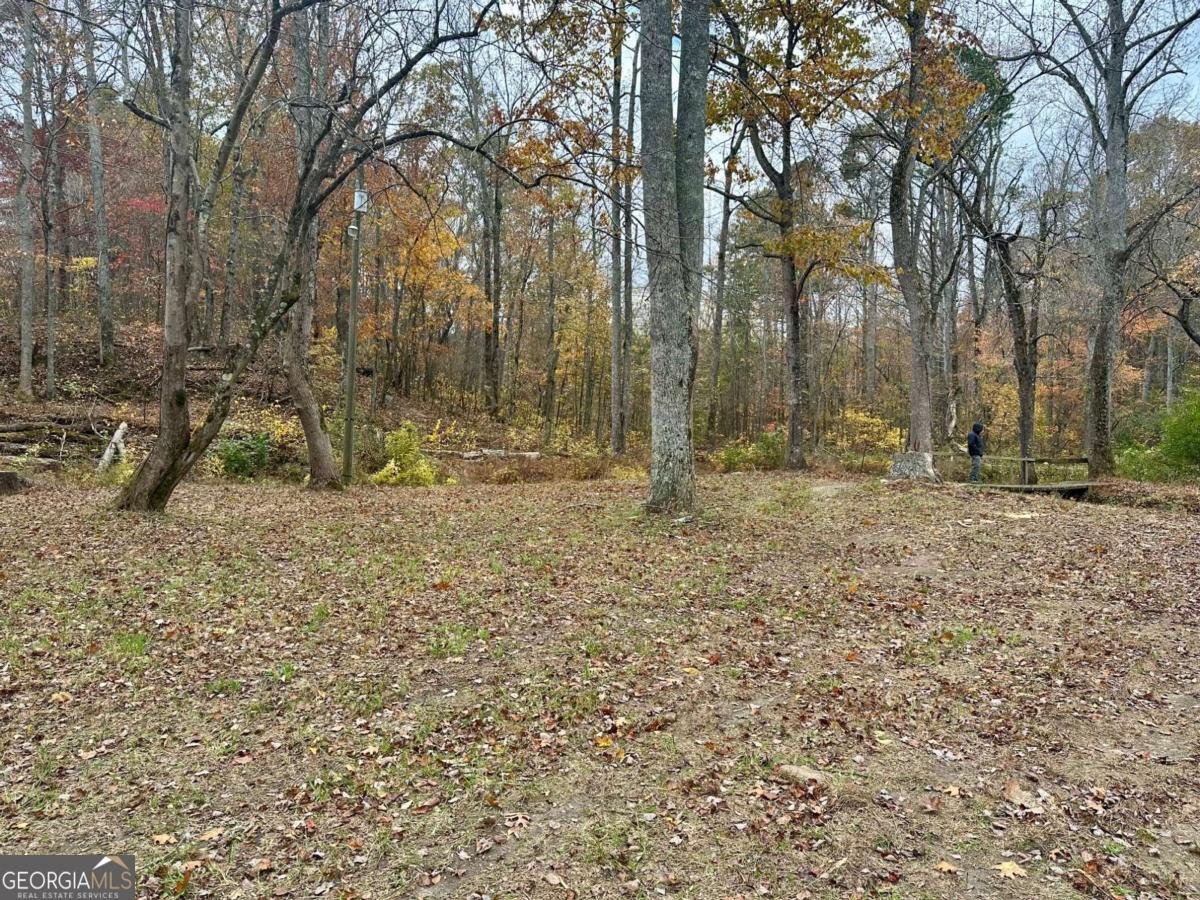 7567 Henderson Mountain Road Jasper - Photo 19