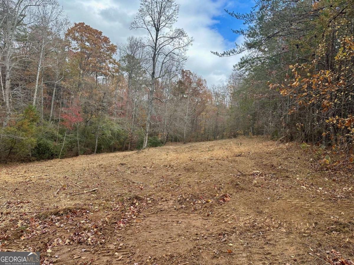 7567 Henderson Mountain Road Jasper - Photo 8