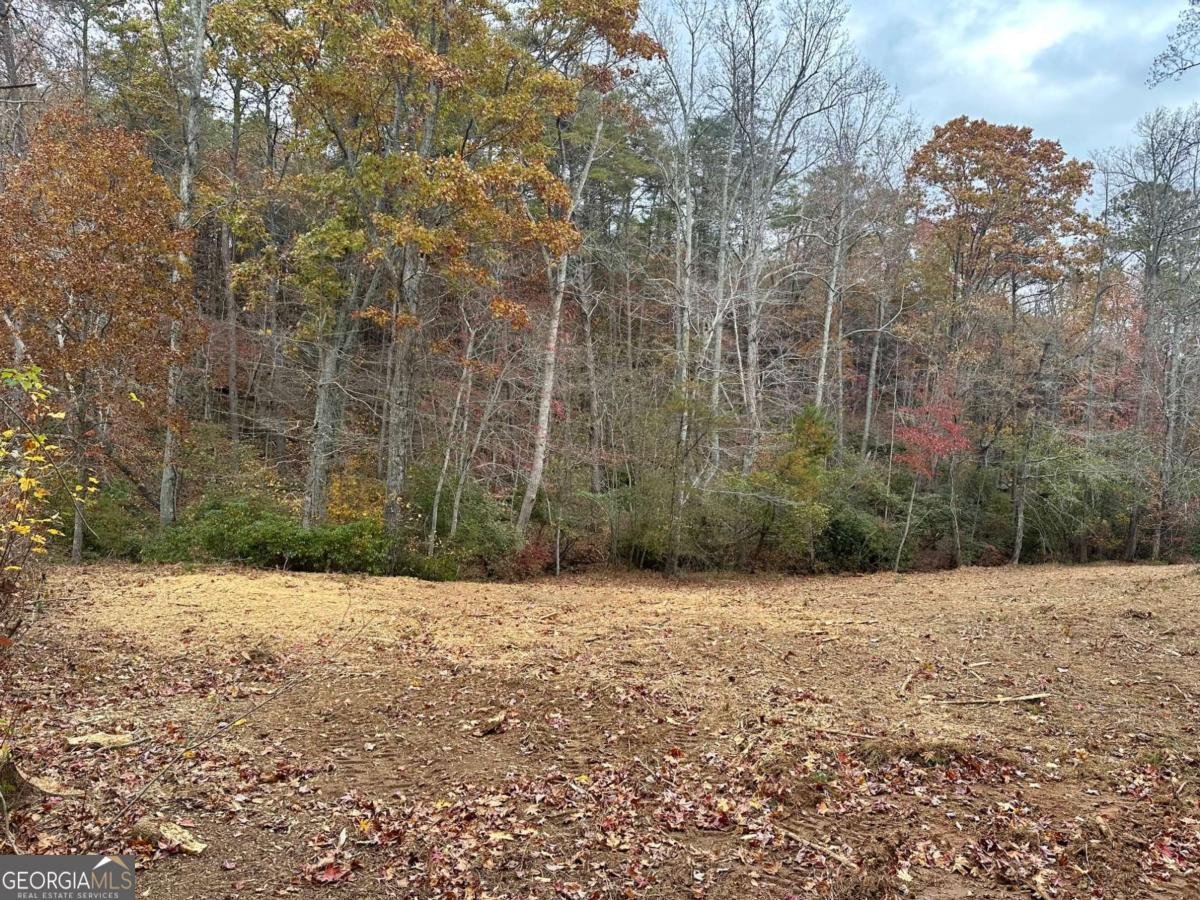 7567 Henderson Mountain Road Jasper - Photo 9